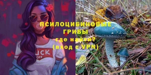 mix Новодвинск
