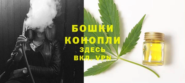 МДПВ Новозыбков