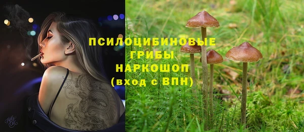 МДПВ Новозыбков