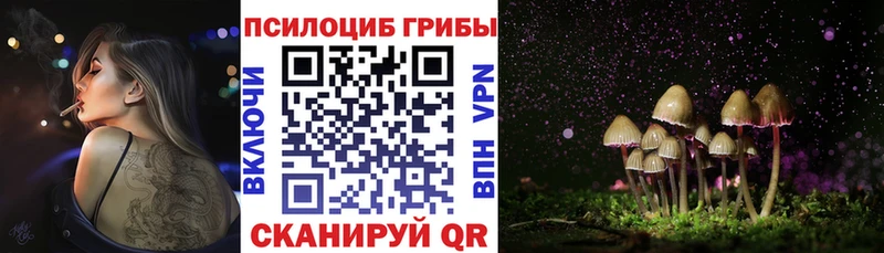 Псилоцибиновые грибы Cubensis  блэк спрут ТОР  Раменское 