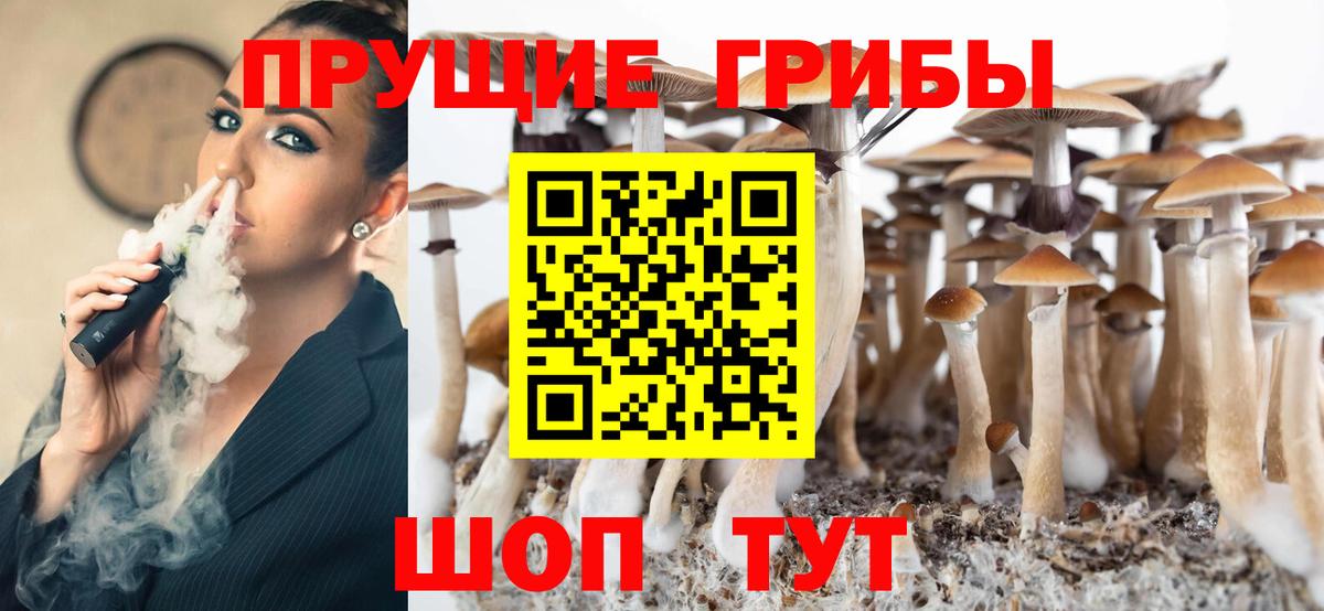 дарнет шоп  Псилоцибиновые грибы мицелий  Вход с VPN  Раменское  Псилоцибиновые грибы GOLDEN TEACHER 