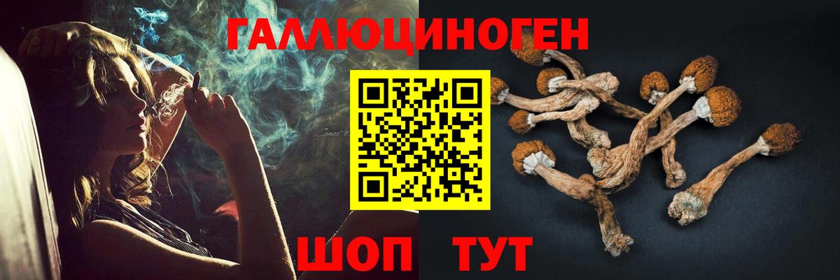 Псилоцибиновые грибы GOLDEN TEACHER Раменское